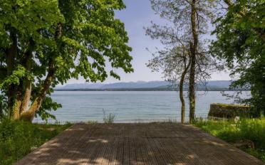 Einfamilienhaus 12.5 Zimmer - image - 10