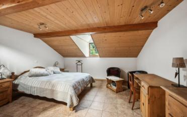Bifamiliar house 12.5 rooms - image - 11