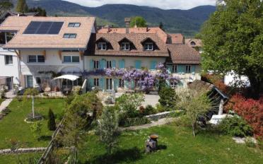 Doppeleinfamilienhaus 7.5 Zimmer - image - 2