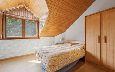 Single house 10 rooms - image - 13