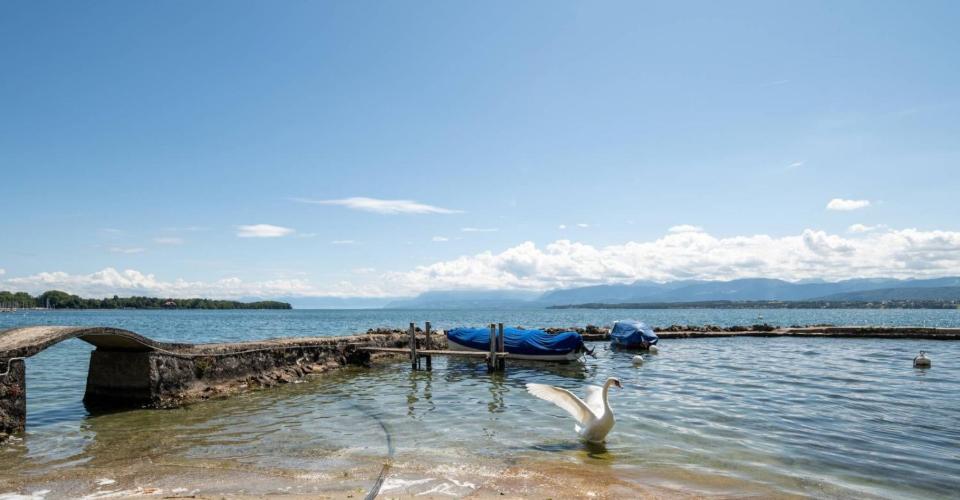 Nyon