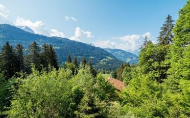 Chalet 6 Zimmer - image - 8