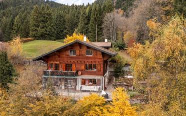 Chalet 6 Zimmer - image - 1