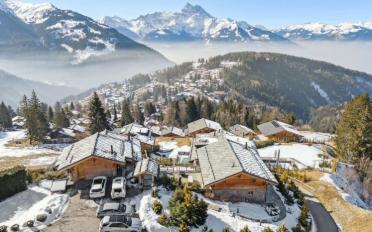 Chalet 9 Zimmer - image - 3