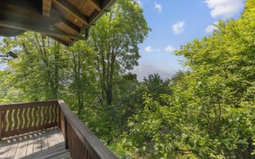 Chalet 6.5 rooms - image - 6