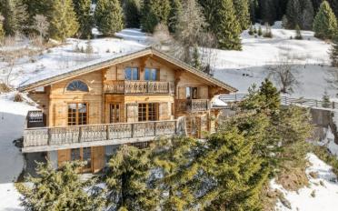 Chalet 7 pièces - image - 2