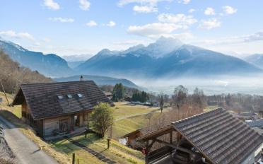 Chalet 6.5 pièces - image - 2