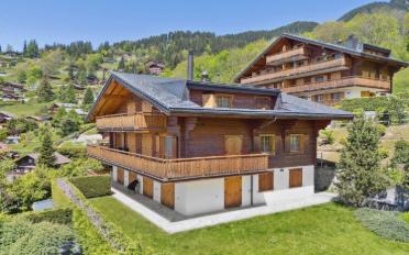 Chalet 15 pièces - image - 2