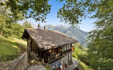 Chalet 4.5 Zimmer - image - 10