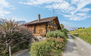 Chalet 14 pièces - image - 2