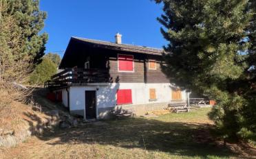 Chalet 4 Zimmer - image - 1
