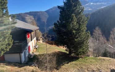 Chalet 4 Zimmer - image - 13