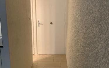 Wohnung ein Zimmer - image - 4