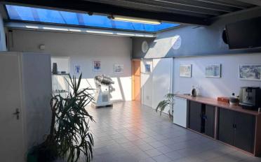 Commercial - image - 11