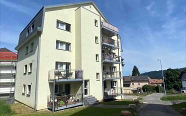 Wohnung 2.5 Zimmer - image - 1