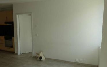 Wohnung 2 Zimmer - image - 5