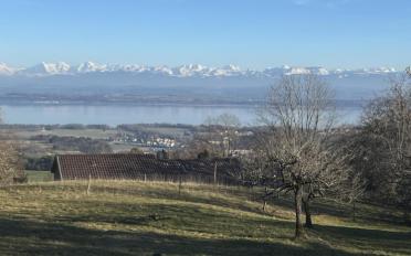 Terrain à bâtir - image - 2