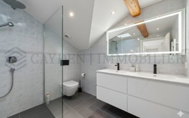 Single house 13 rooms - image - 13