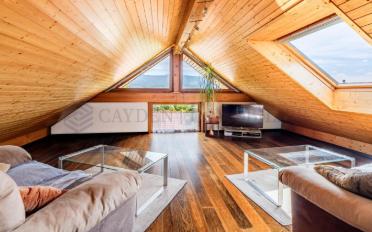 Single house 13 rooms - image - 7