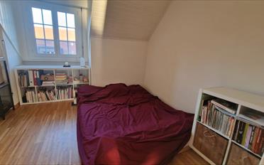 Wohnung 2.5 Zimmer - image - 5