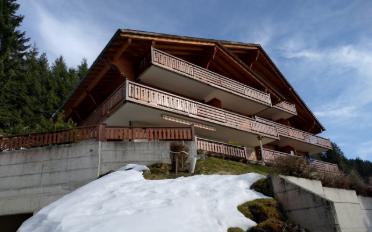 Furnished flat 3.5 rooms - image - 2