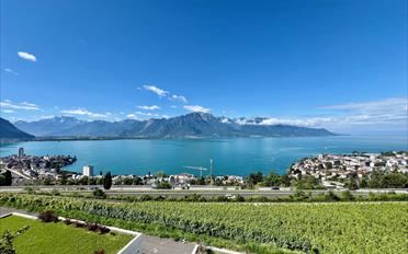 Attique - image - 2