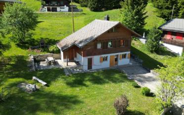 Chalet 4.5 Zimmer - image - 1