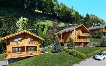 Chalet 5.5 pièces - image - 4