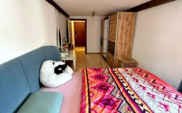 Apartment 2.5 rooms - image - 4