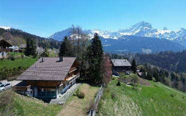 Chalet 9 rooms - image - 2