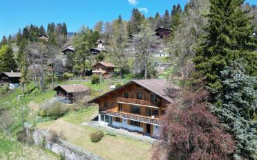 Chalet 9 rooms - image - 6