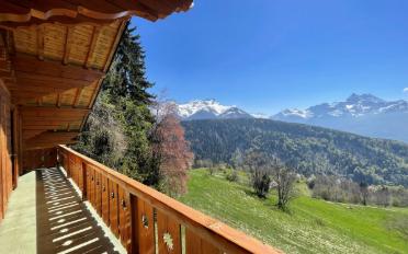 Chalet 9 rooms - image - 3