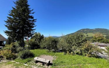Chalet 5.5 rooms - image - 5