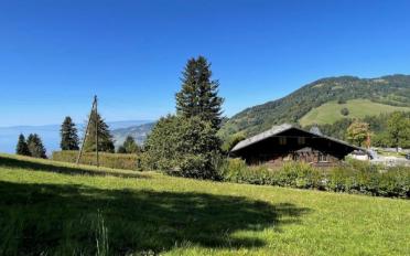 Chalet 5.5 pièces - image - 1