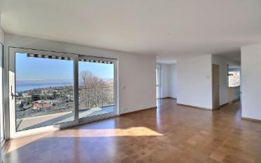 Wohnung 5.5 Zimmer - image - 5