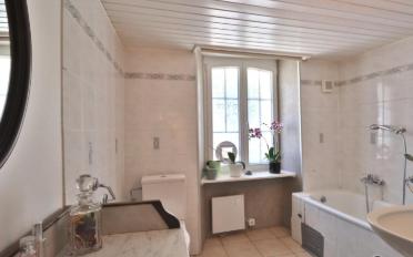Einfamilienhaus 12.5 Zimmer - image - 5