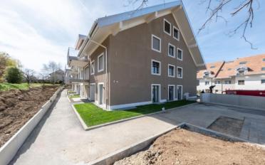 Wohnung 3.5 Zimmer - image - 1