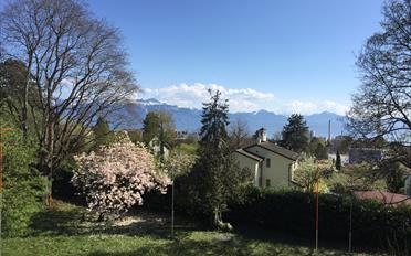 Villa 5.5 pièces - image - 3