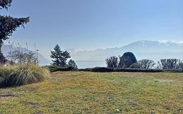 Building land - image - 1