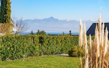 Villa 7.5 pièces - image - 7