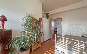Single house 5 rooms - image - 7