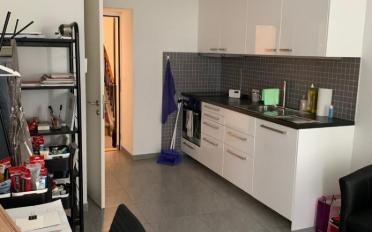 Wohnung ein Zimmer - image - 4
