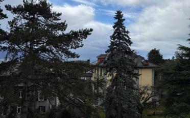 Appartement 4.5 pièces - image - 2