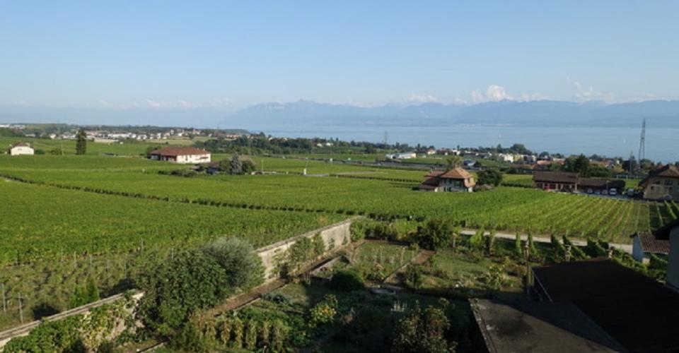 Mont-sur-Rolle