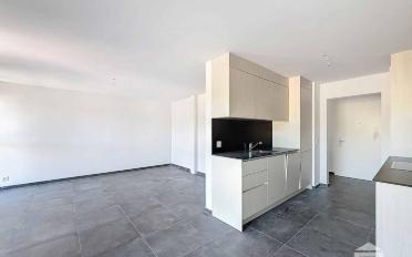 Wohnung 4.5 Zimmer - image - 1