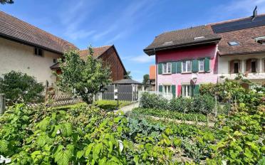 Wohnung 3.5 Zimmer - image - 1