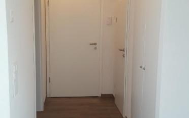 Appartement 1 pièce - image - 3
