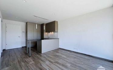 Wohnung 2.5 Zimmer - image - 6