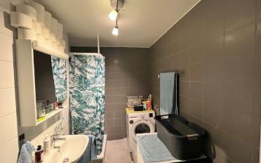 Wohnung 2.5 Zimmer - image - 3