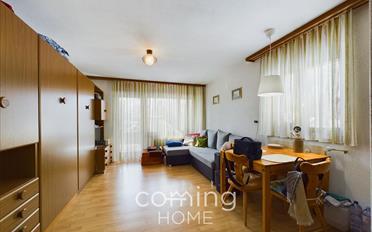 Studio 1.5 Zimmer - image - 1